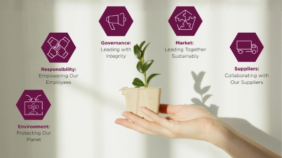 A hand holds a small potted plant against a light background. Graphic icons and labels around the plant symbolize responsibility, governance, market, suppliers, and environmental protection.