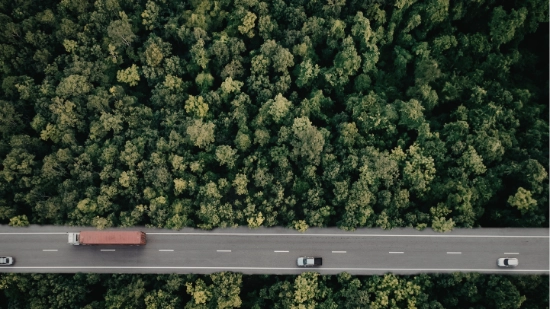 Aerial view of a road running through a dense forest with a truck and several vehicles driving along it.