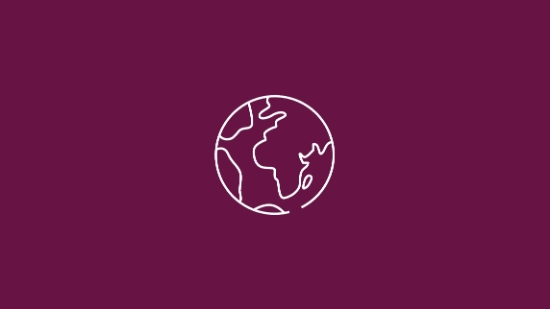 Symbol of a globe representing worldwide presence and international focus.