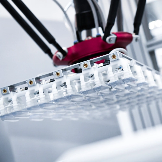 An automatic gripping system moves multiple packages within a packaging machine.